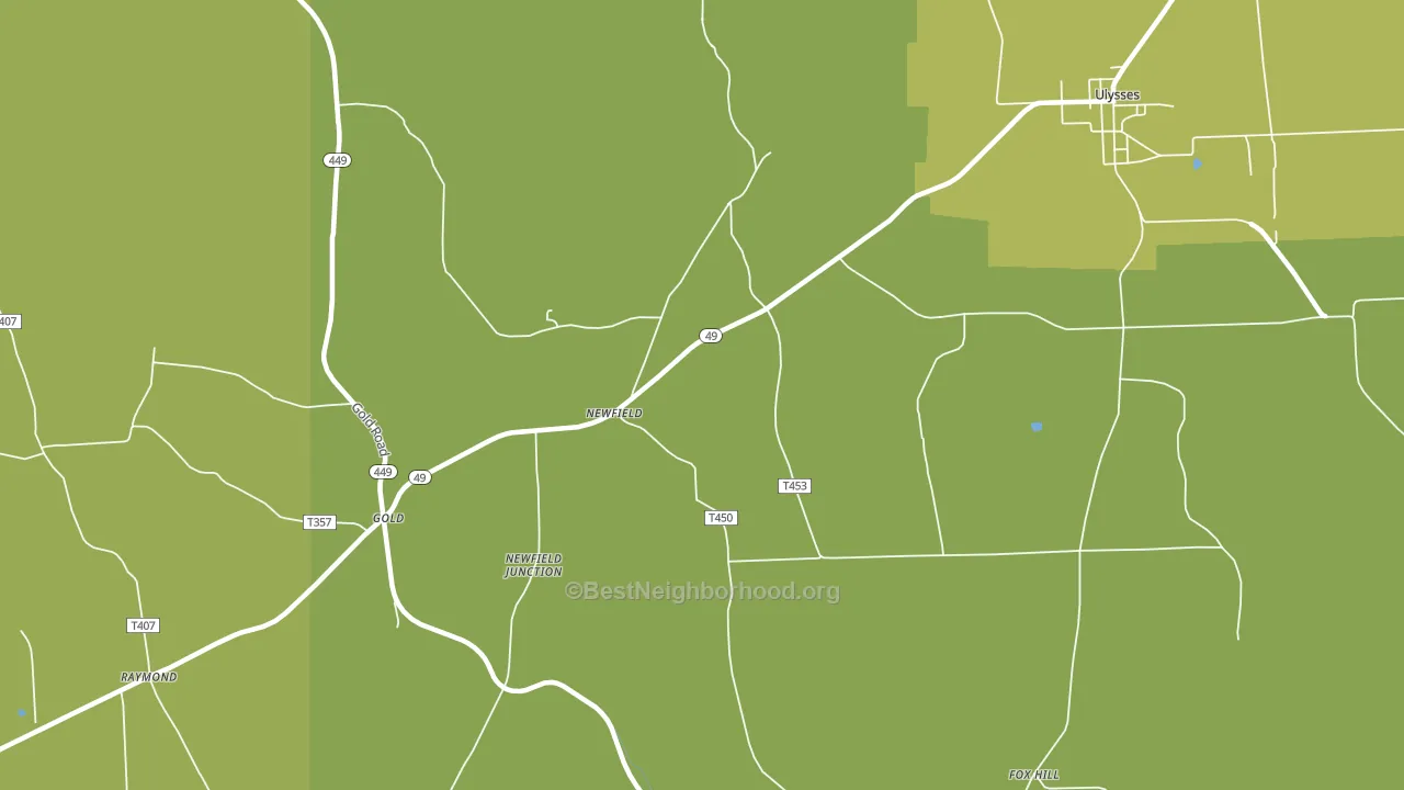 Newfield, PA block-group voter-turnout map