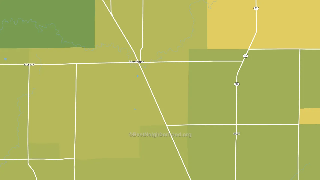 Newfolden, MN block-group voter-turnout map