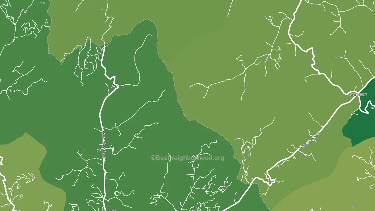 Newfound, NC block-group voter-turnout map