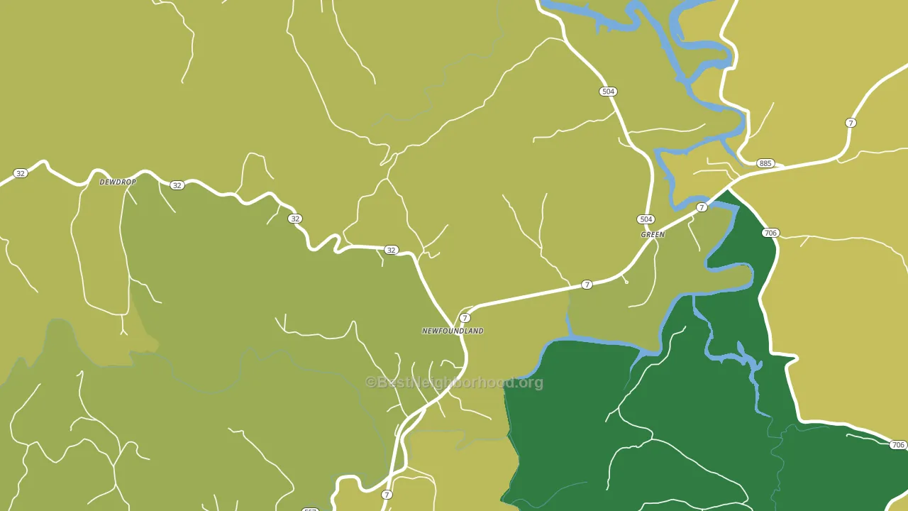 Newfoundland, KY block-group voter-turnout map