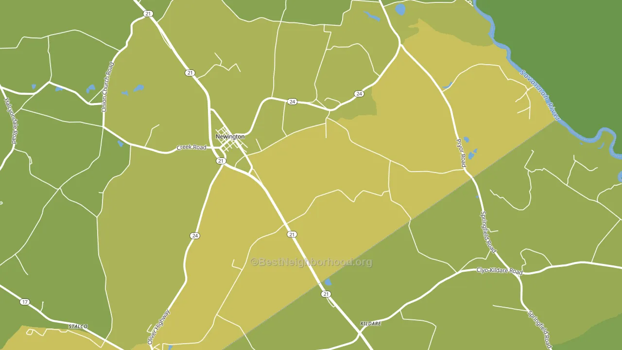 Newington, GA block-group voter-turnout map