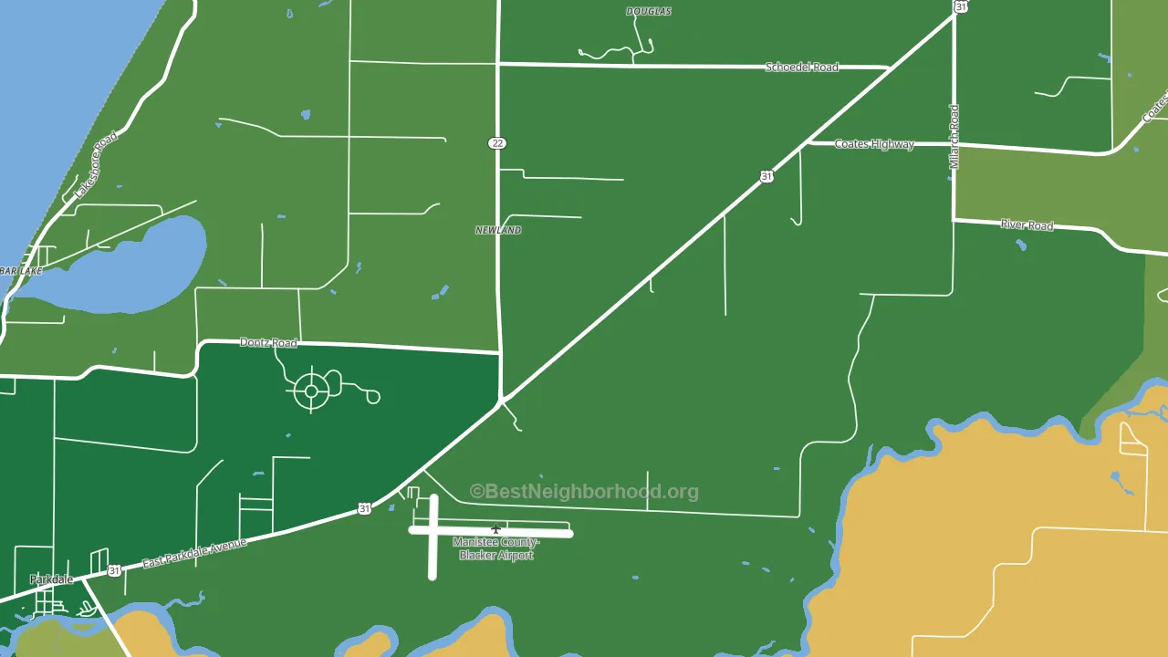 Newland, MI block-group voter-turnout map