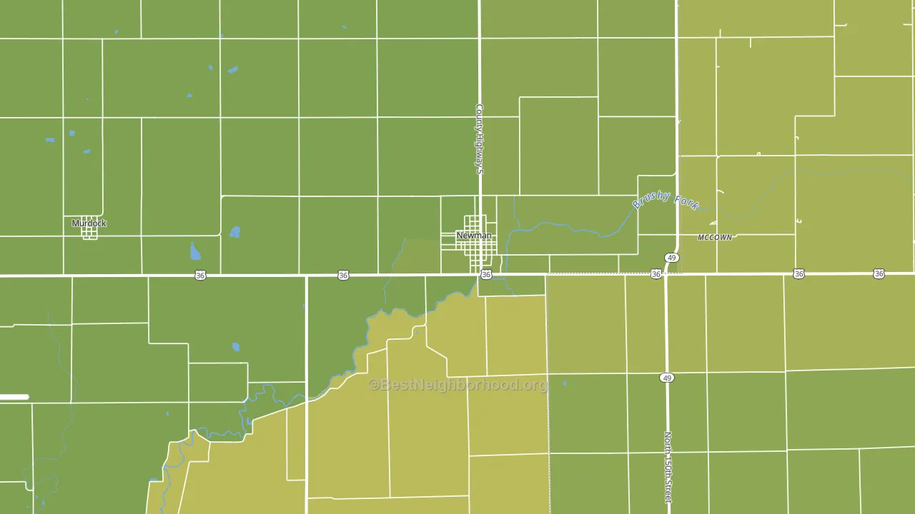 Newman, IL block-group voter-turnout map