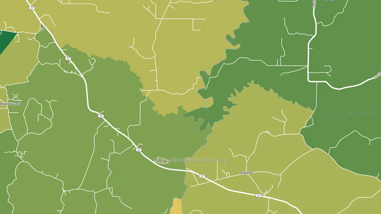 Newman, MS block-group voter-turnout map