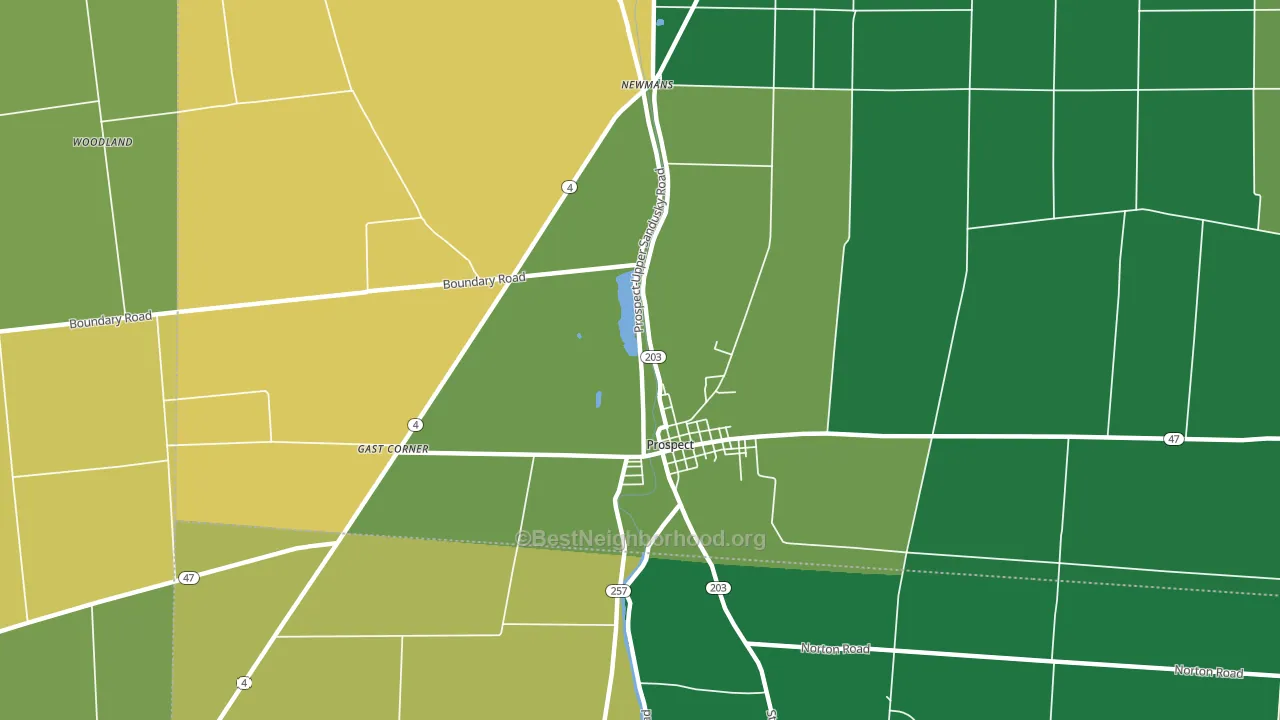 Newman, OH block-group voter-turnout map
