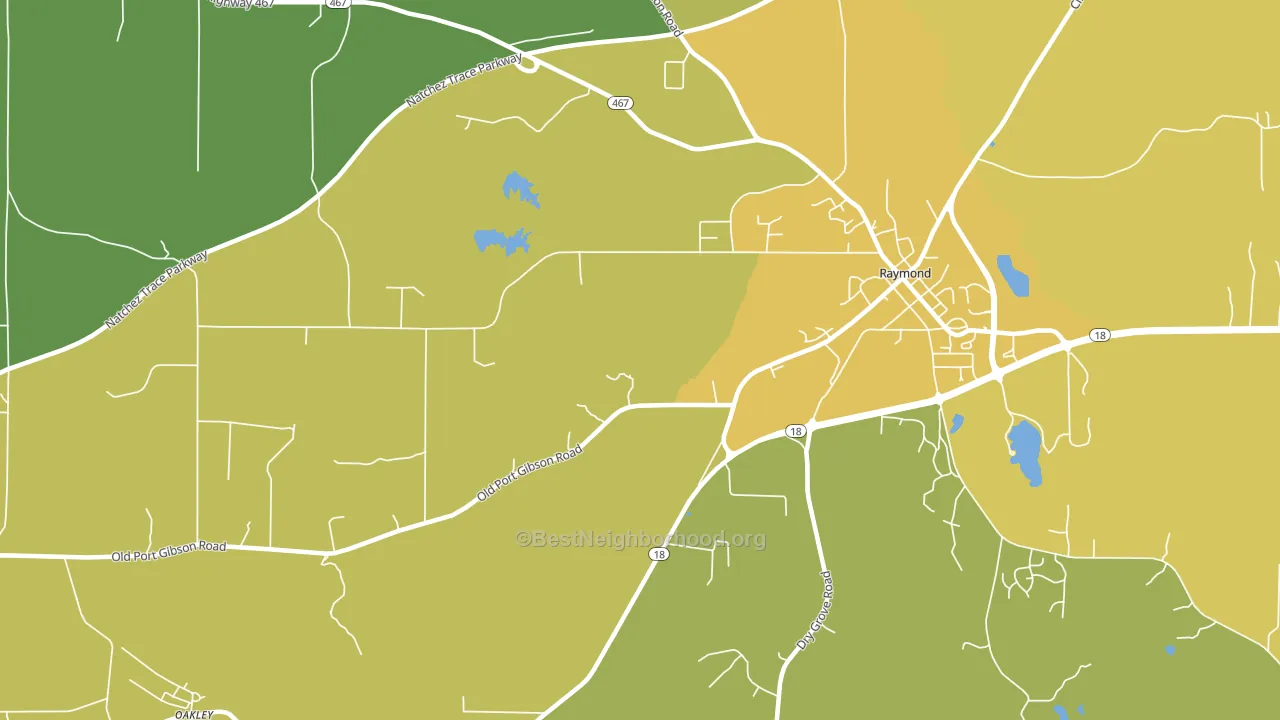 Newmans Grove, MS block-group voter-turnout map