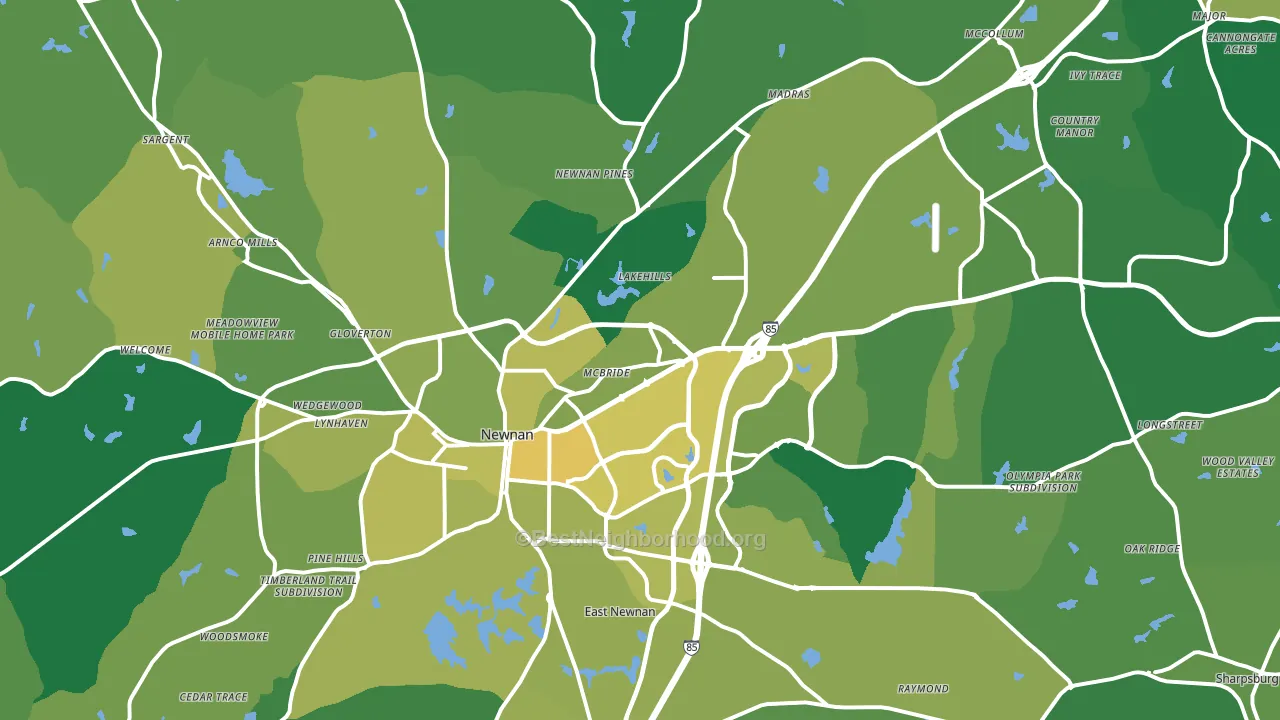Newnan, GA block-group voter-turnout map
