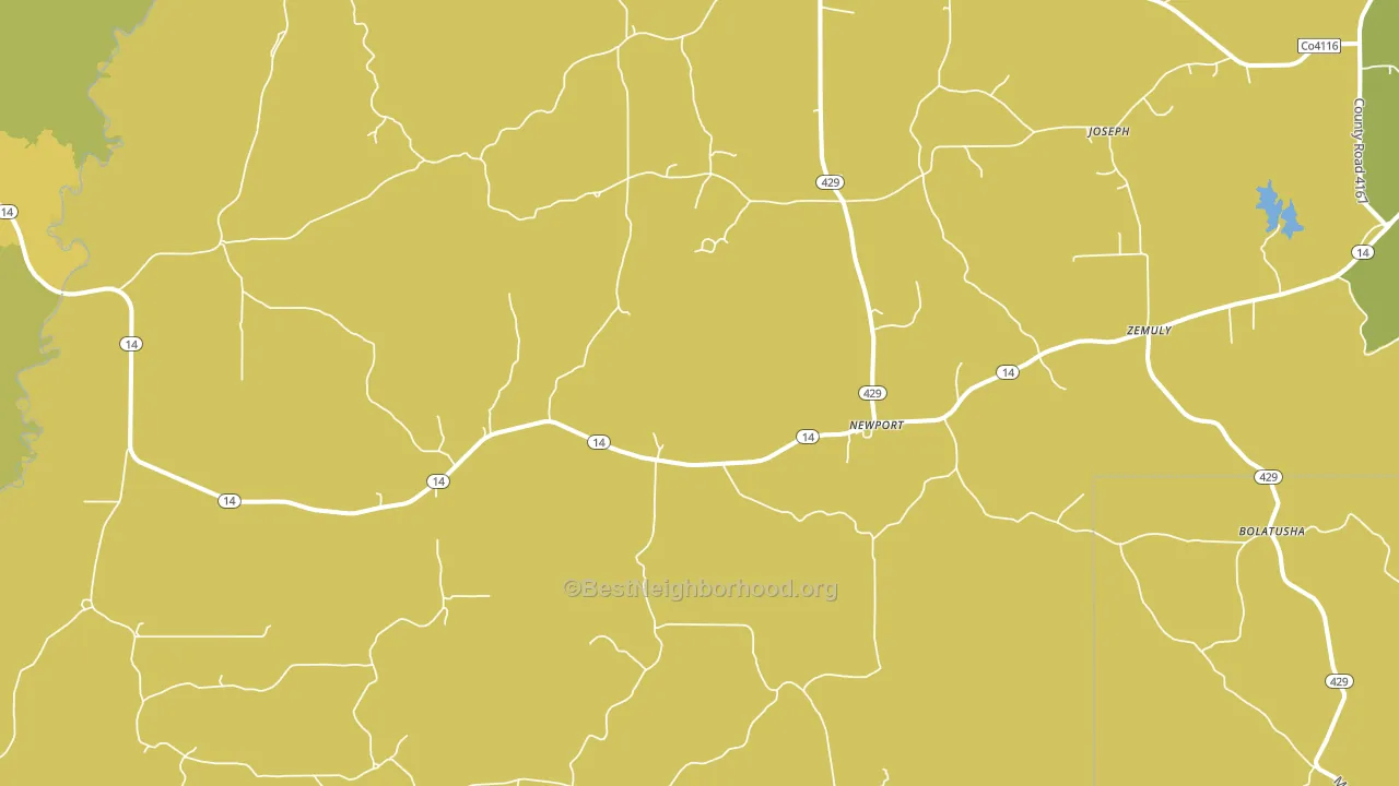 Newport, MS block-group voter-turnout map