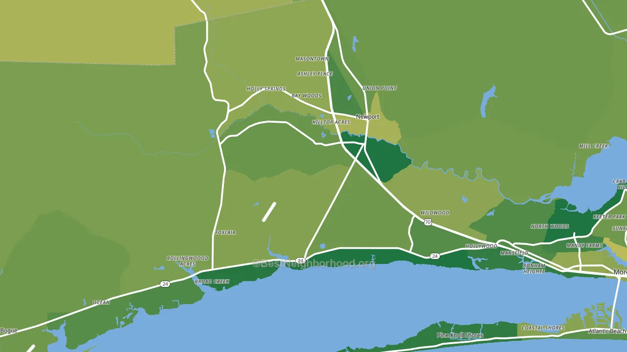 Newport, NC block-group voter-turnout map