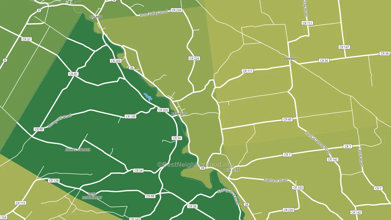 Newport, NY block-group voter-turnout map