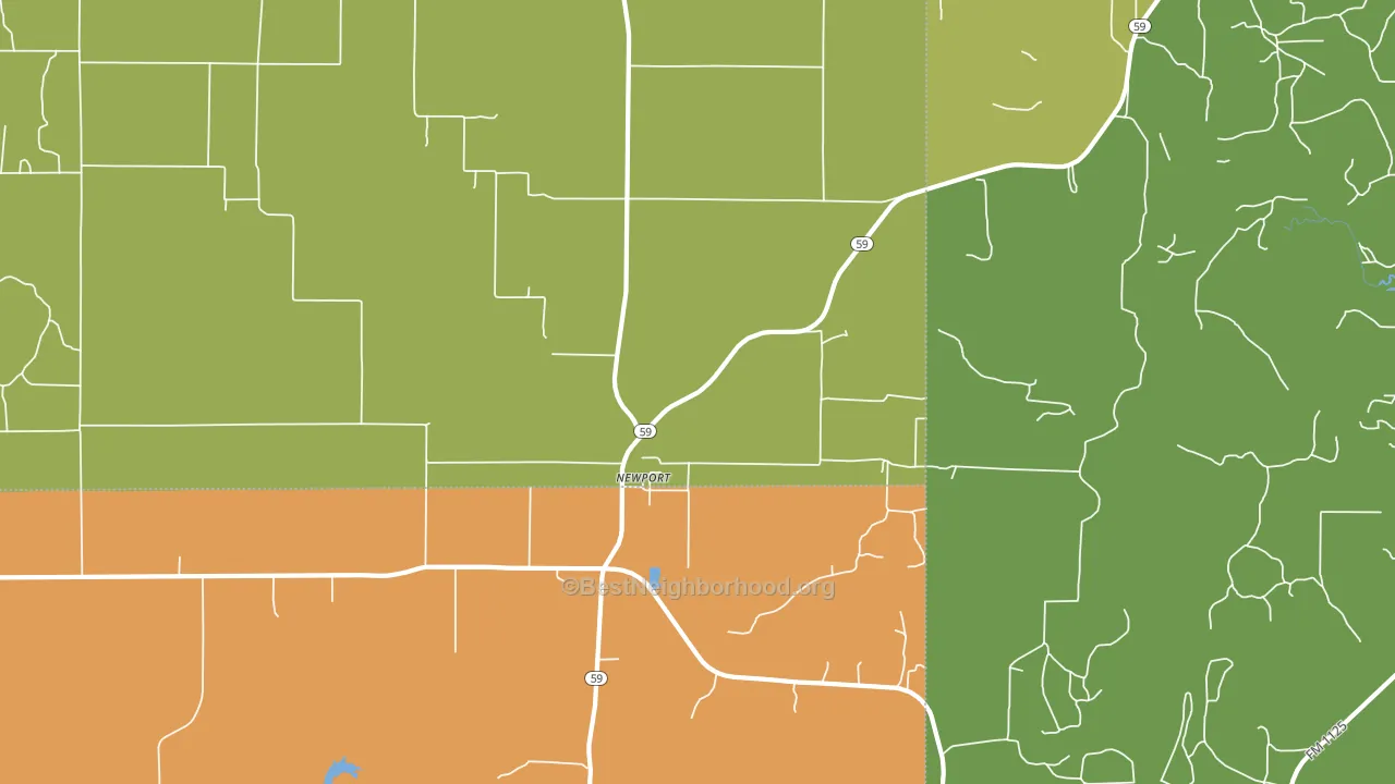 Newport, TX block-group voter-turnout map