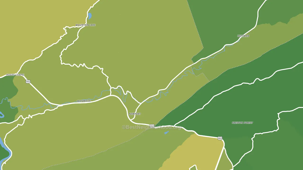 Newport, VA block-group voter-turnout map