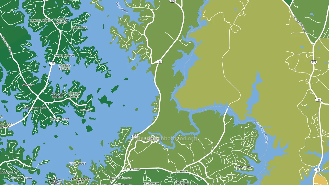 Newry, SC block-group voter-turnout map