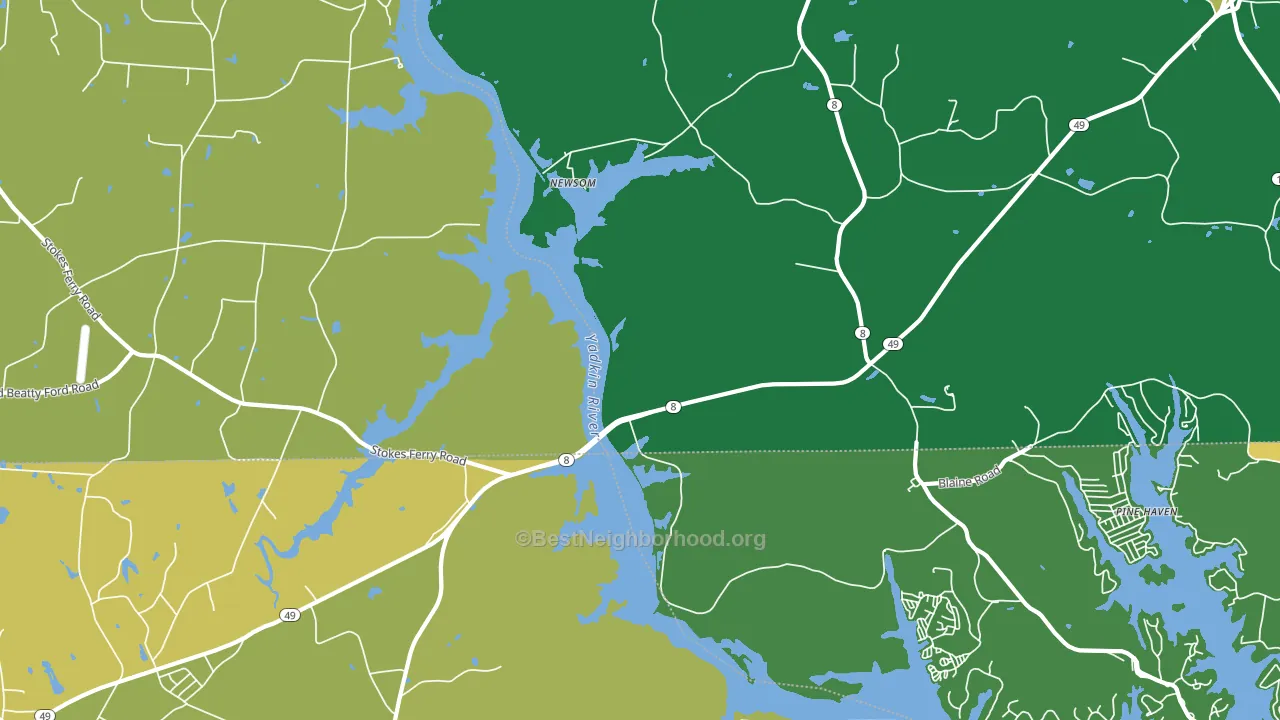 Newsom, NC block-group voter-turnout map