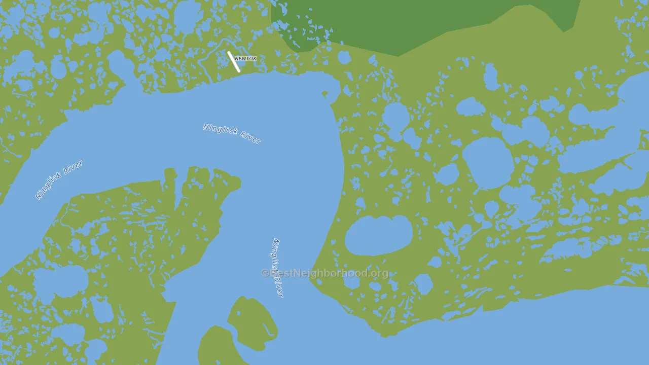 Newtok, AK block-group voter-turnout map