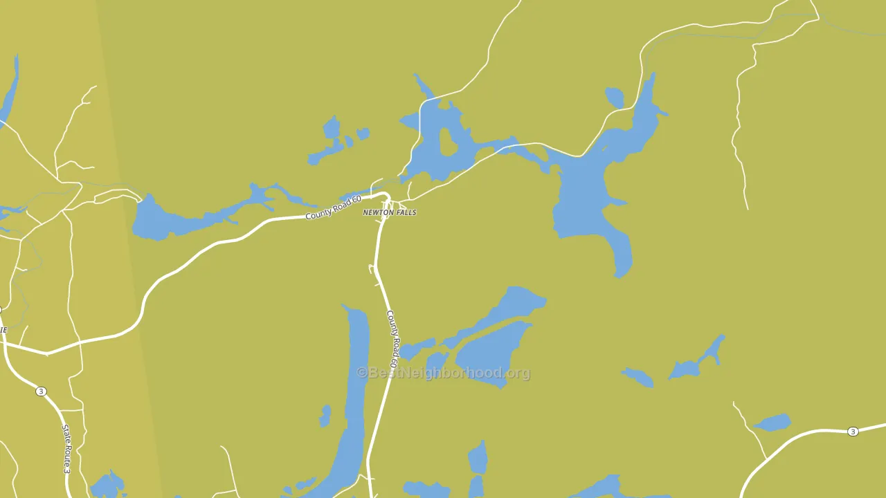 Newton Falls, NY block-group voter-turnout map