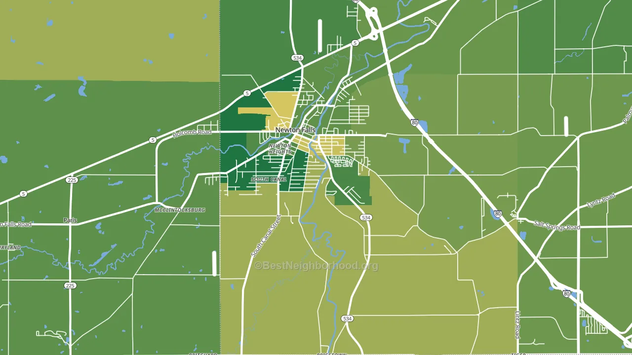 Newton Falls, OH block-group voter-turnout map