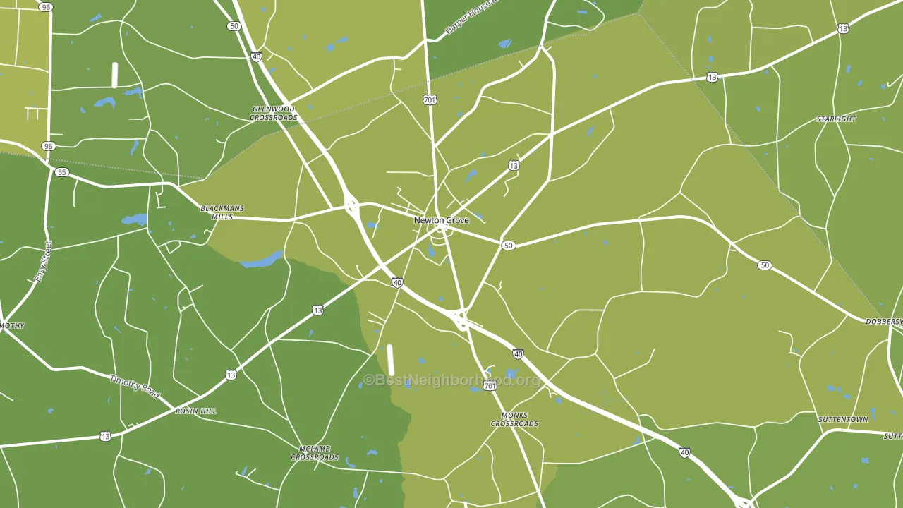 Newton Grove, NC block-group voter-turnout map