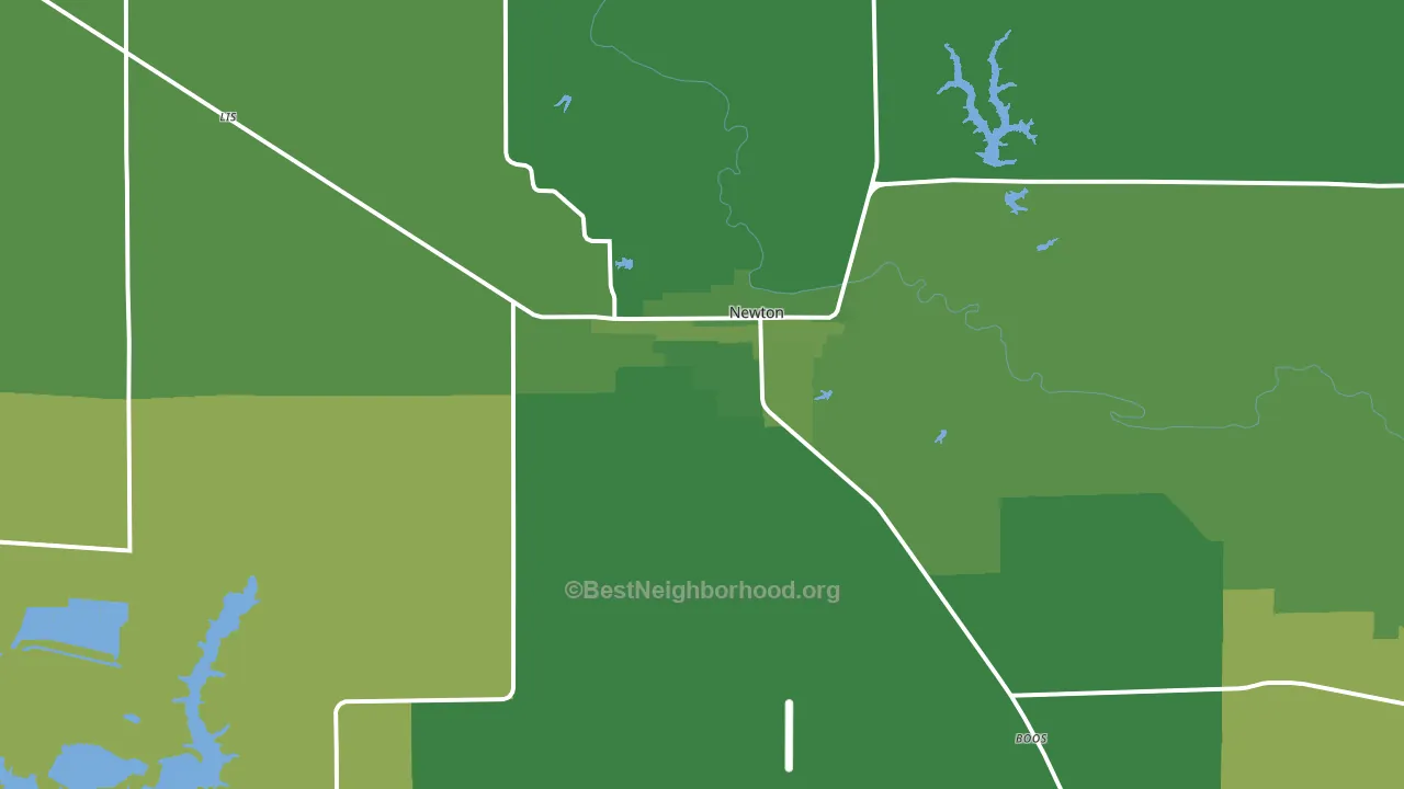 Newton, IL block-group voter-turnout map