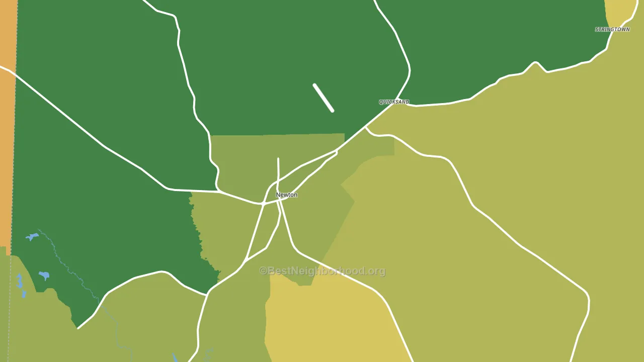 Newton, TX block-group voter-turnout map