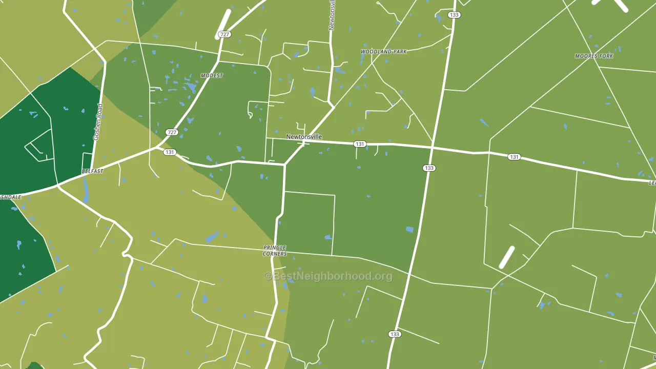 Newtonsville, OH block-group voter-turnout map