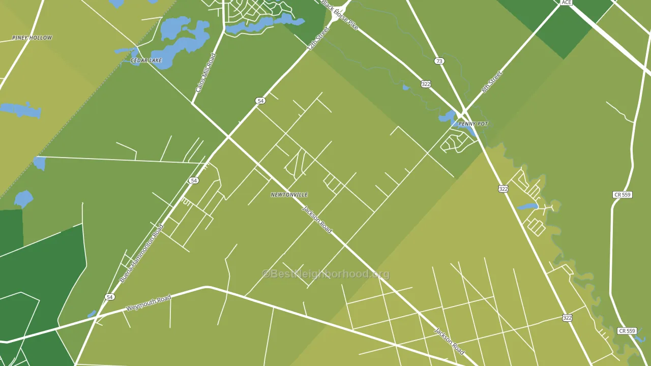 Newtonville, NJ block-group voter-turnout map