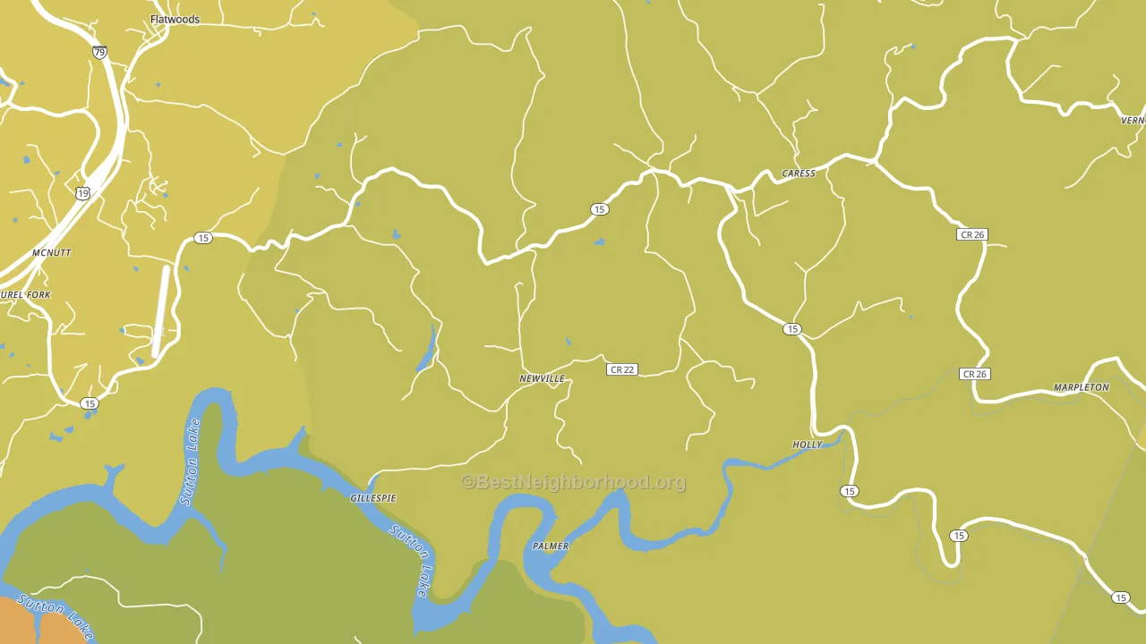 Newville, WV block-group voter-turnout map