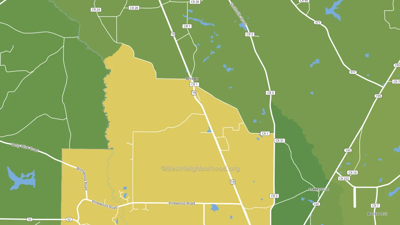 Neyami, GA block-group voter-turnout map