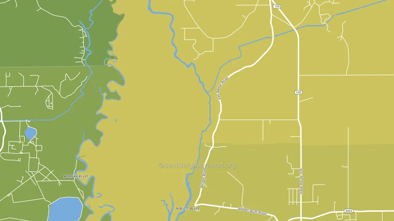 Niblett Bluff, LA block-group voter-turnout map