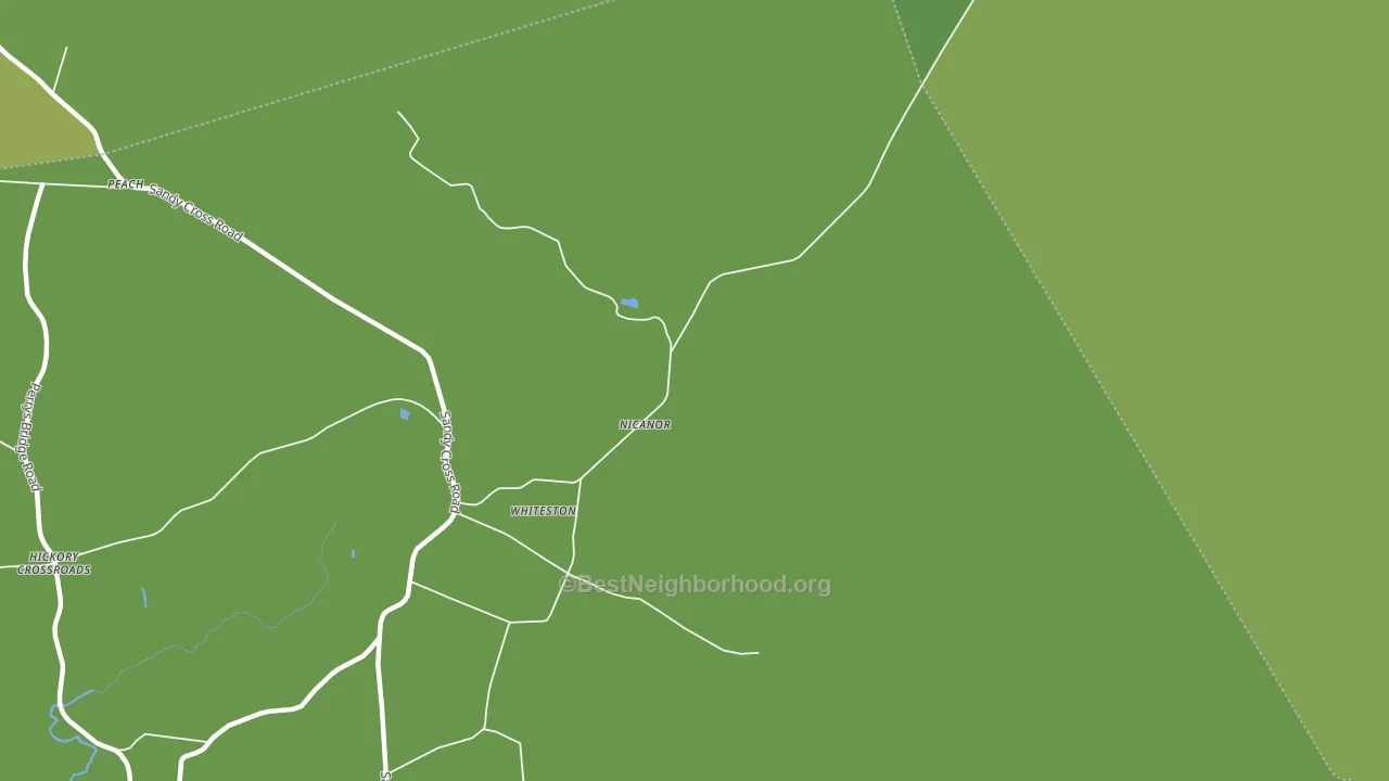 Nicanor, NC block-group voter-turnout map
