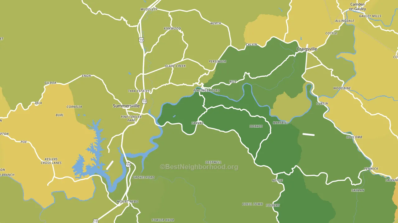 Nicholas County, WV block-group voter-turnout map