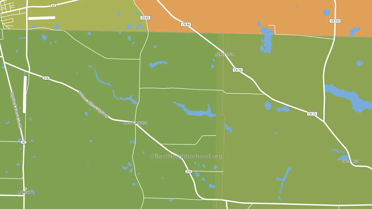 Nicholasville, GA block-group voter-turnout map