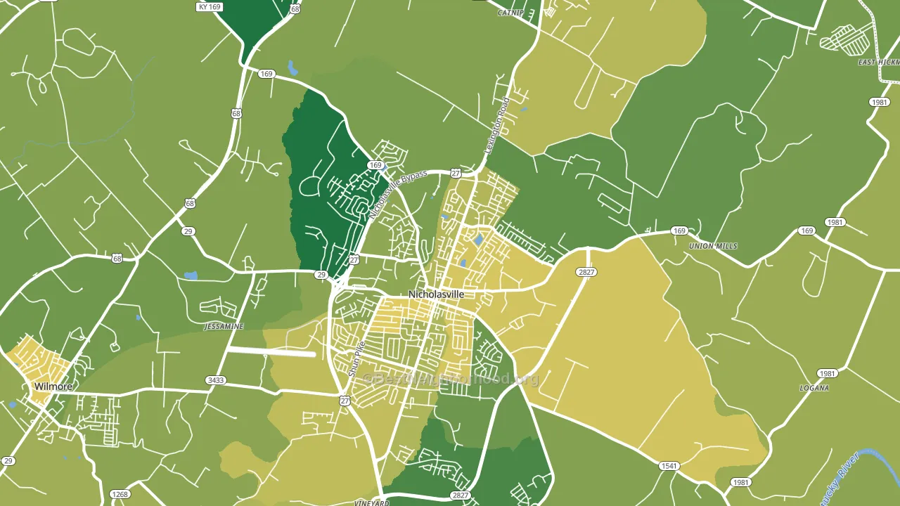 Nicholasville, KY block-group voter-turnout map