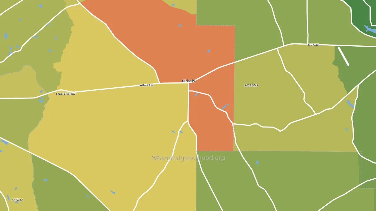 Nicholls, GA block-group voter-turnout map