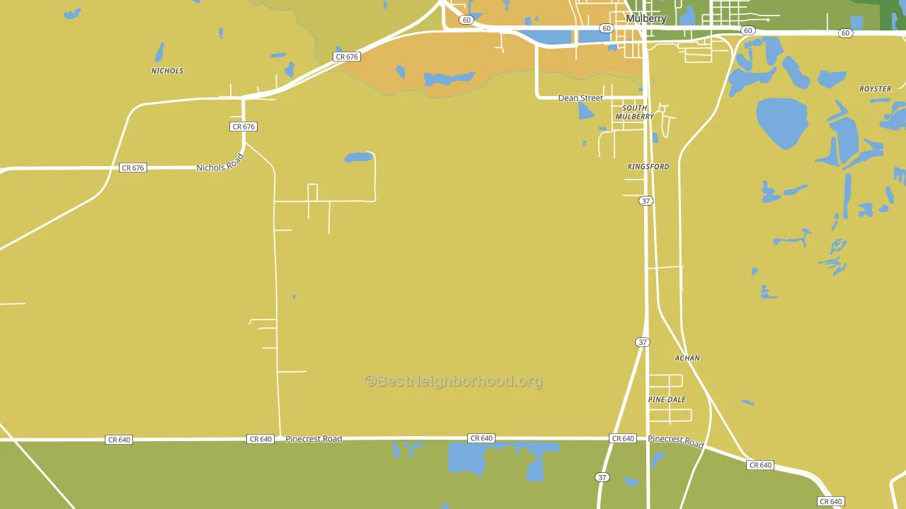 Nichols, FL block-group voter-turnout map