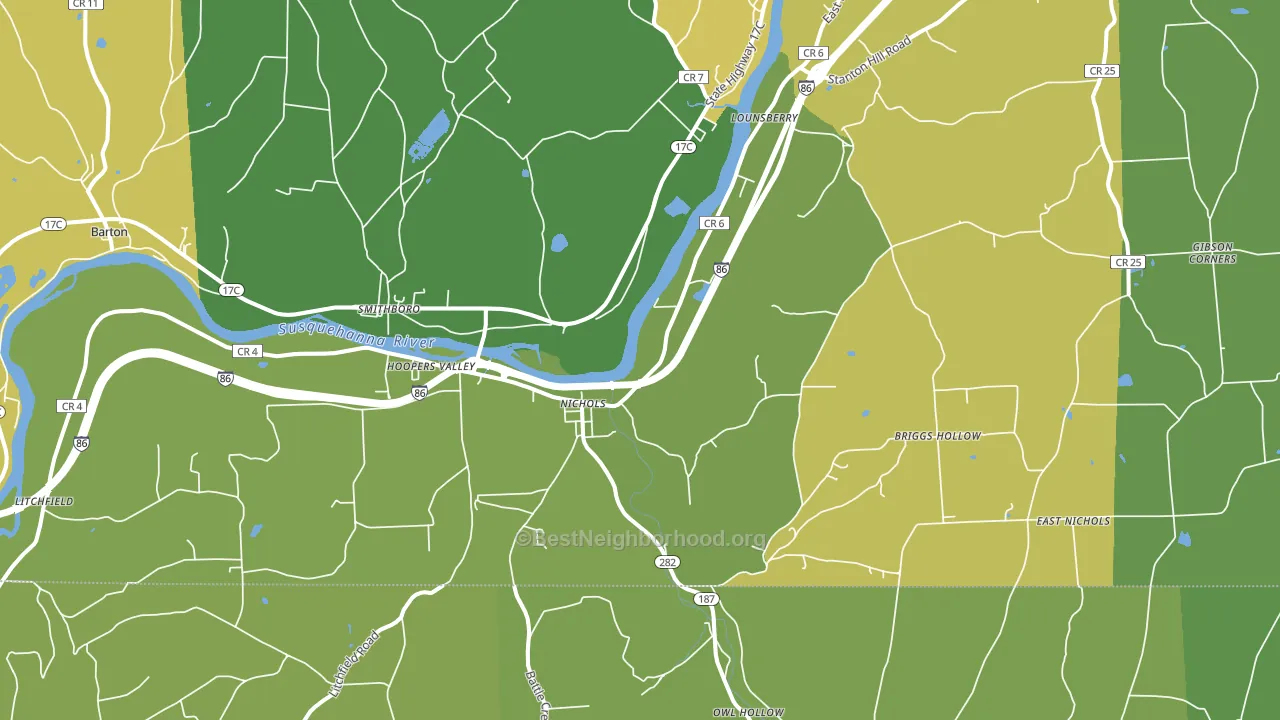 Nichols, NY block-group voter-turnout map