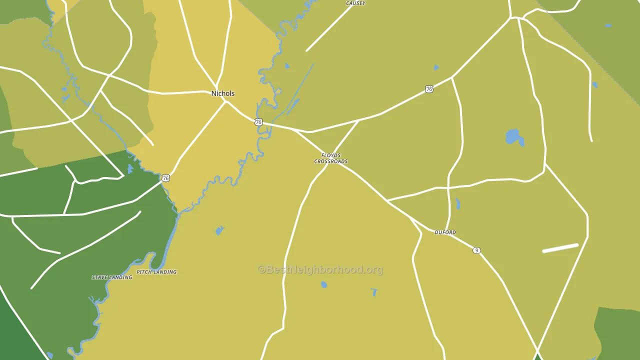 Nichols, SC block-group voter-turnout map