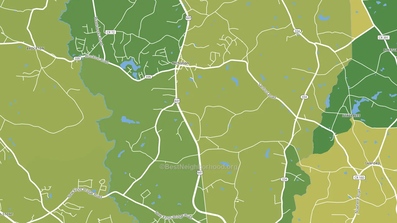 Nicholson, GA block-group voter-turnout map