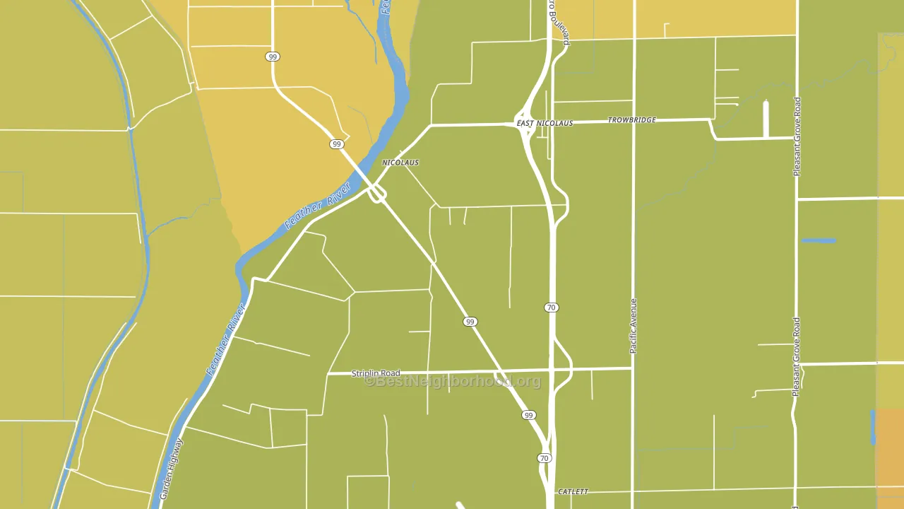 Nicolaus, CA block-group voter-turnout map