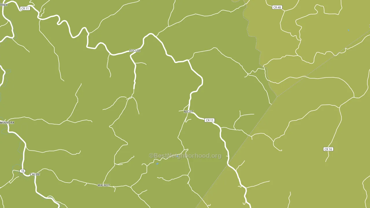 Nicut, WV block-group voter-turnout map