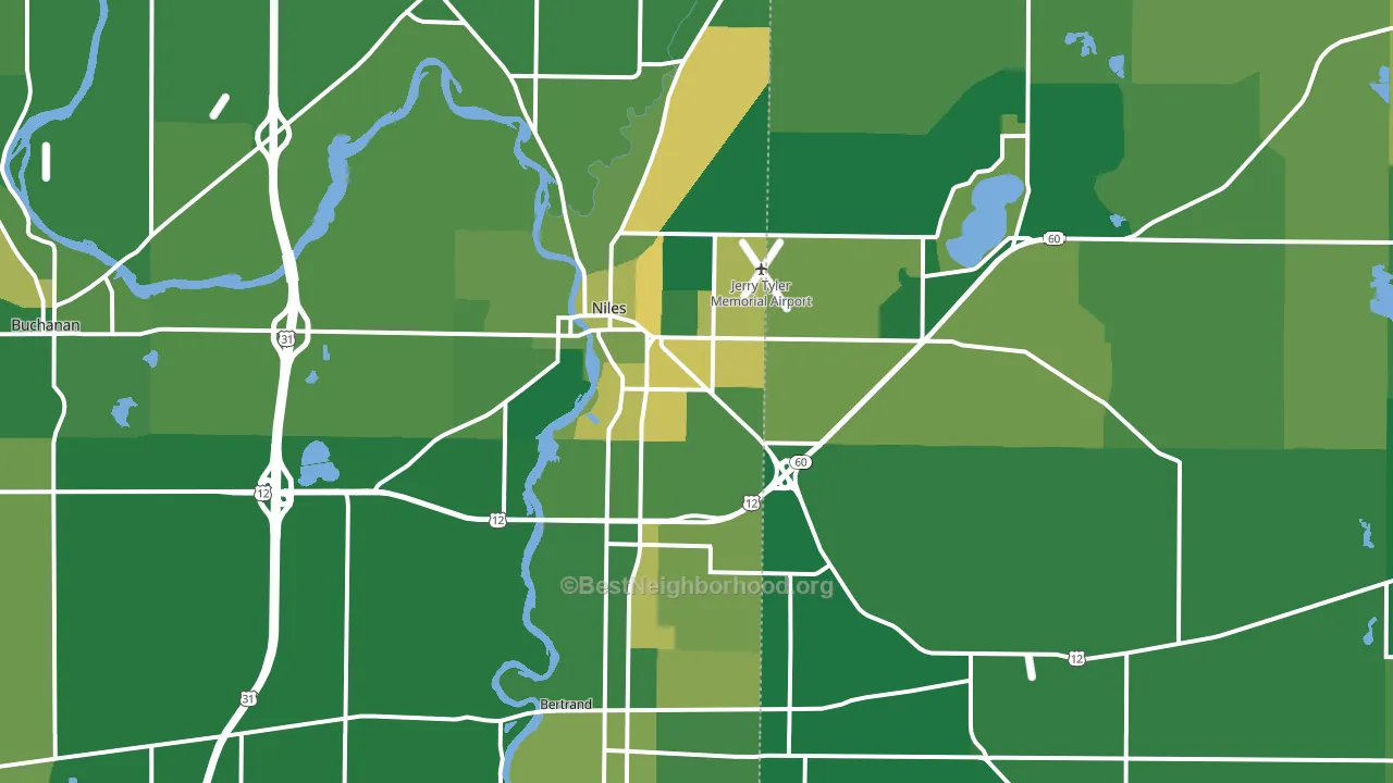 Niles, MI block-group voter-turnout map