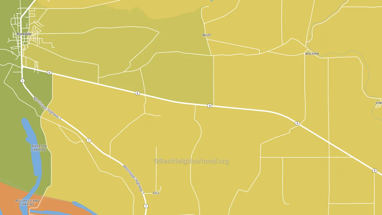 Niles, MS block-group voter-turnout map