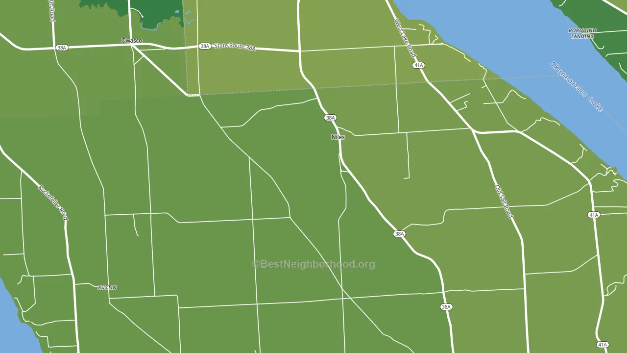 Niles, NY block-group voter-turnout map