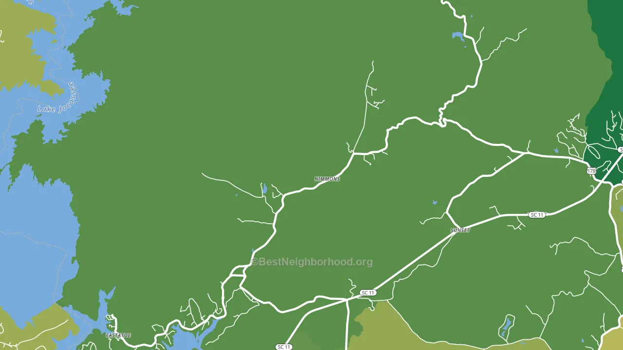 Nimmons, SC block-group voter-turnout map