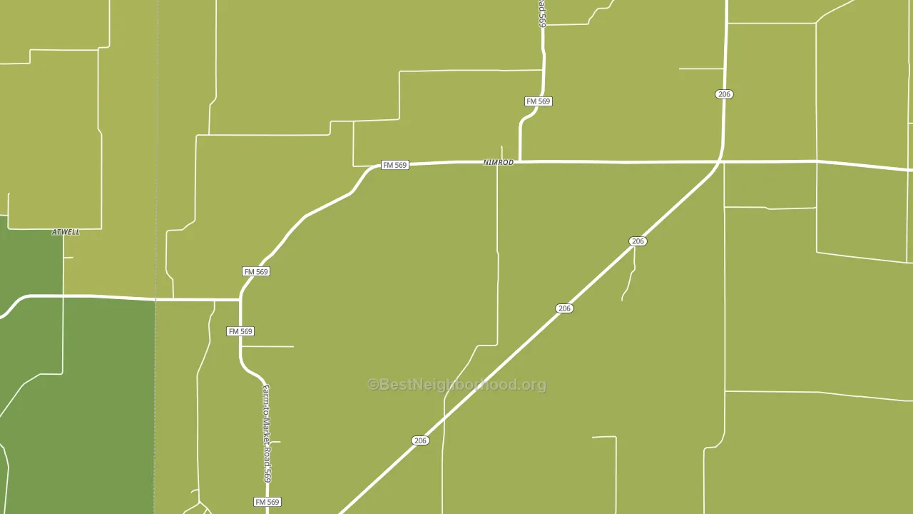 Nimrod, TX block-group voter-turnout map