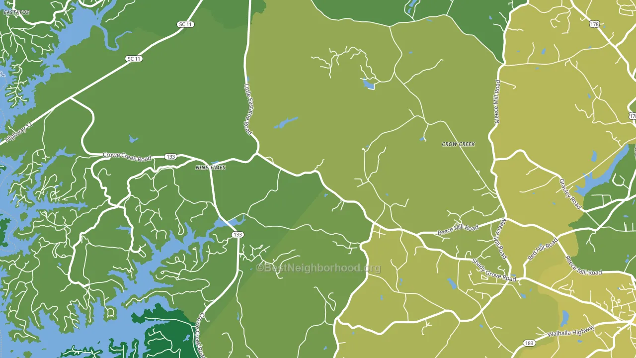 Nine Times, SC block-group voter-turnout map