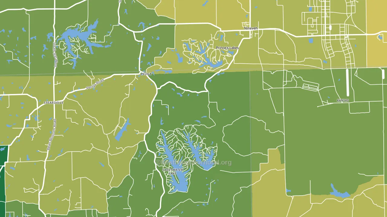 Nineveh, IN block-group voter-turnout map
