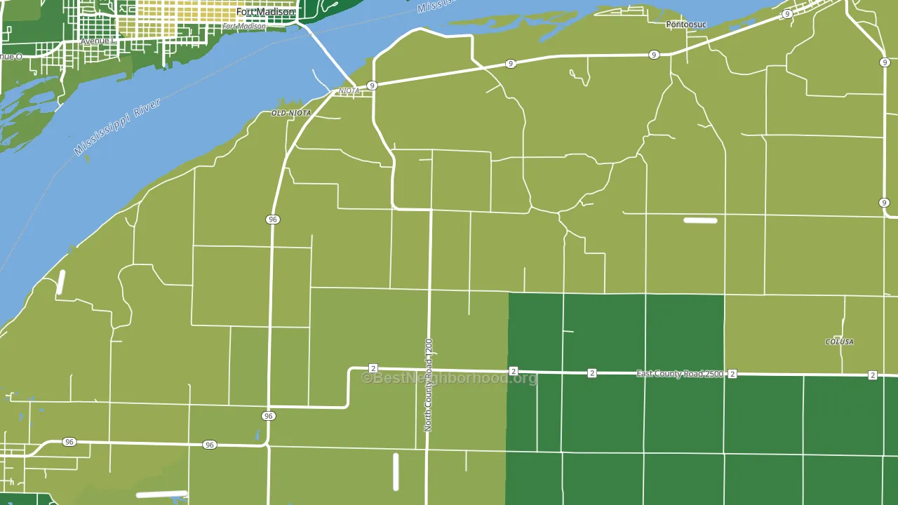 Niota, IL block-group voter-turnout map
