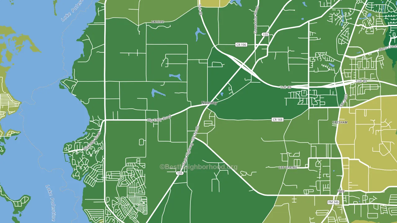 Noonday, TX block-group voter-turnout map