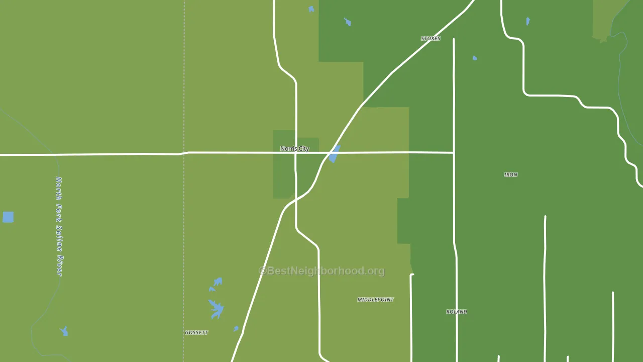 Norris City, IL block-group voter-turnout map